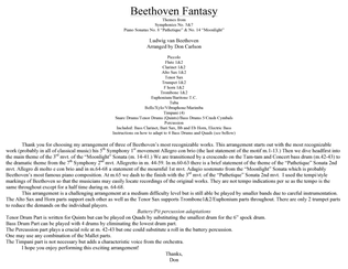 Beethoven Fantasy