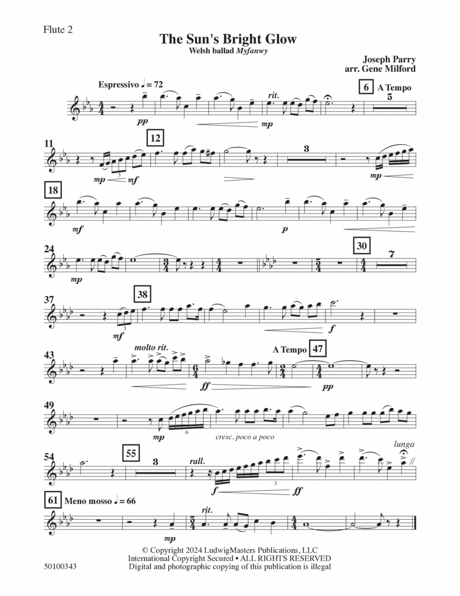 The Sun's Bright Glow (arr. Gene Milford) - Flute 2 Concert Band scores gallery preview page 1