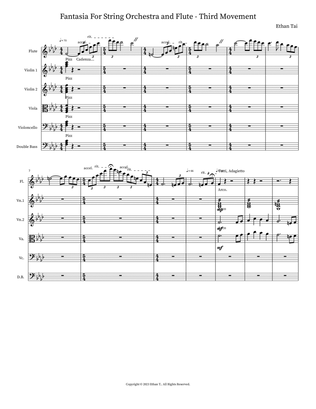 Fantasia For String Orchestra and Flute - Third Movement