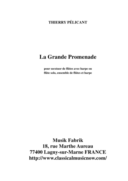 Thierry Pélicant: La Grande Promenade for solo flute, flute ensemble and harp