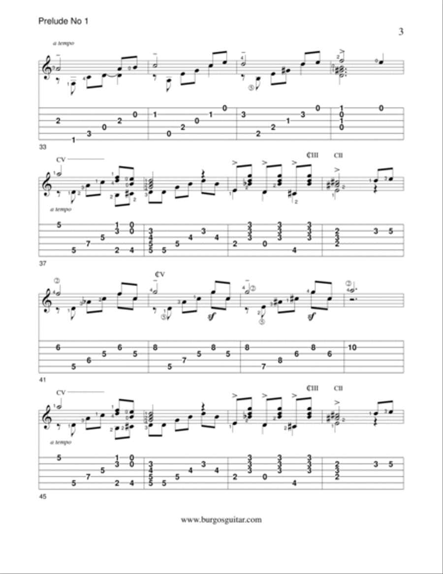 Prelude 1 Acoustic Guitar scores gallery preview page 3