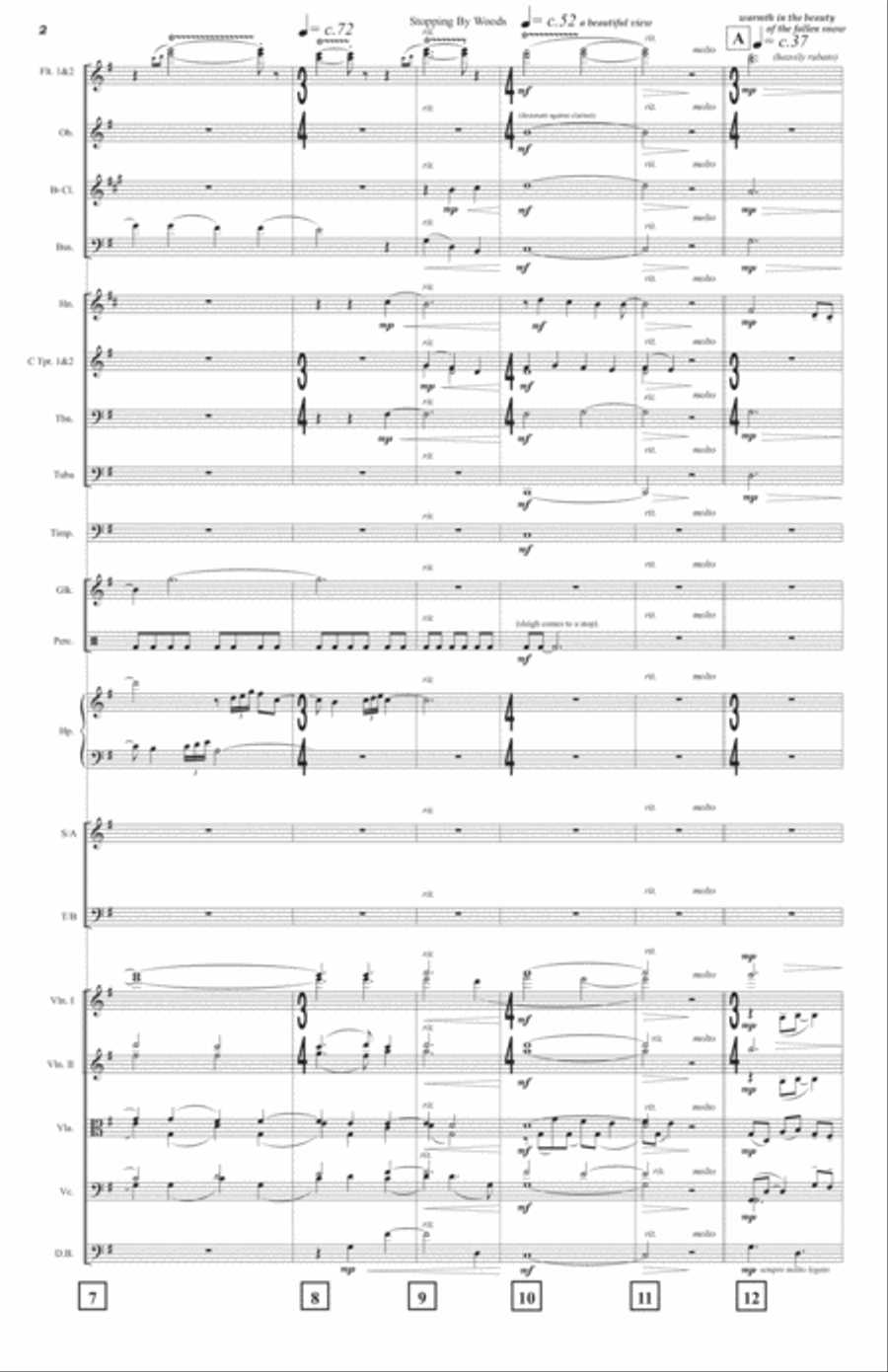 Stopping by Woods (Robert Frost) – FULL SCORE (CHAMBER ORCH) Chamber Orchestra scores gallery preview page 6