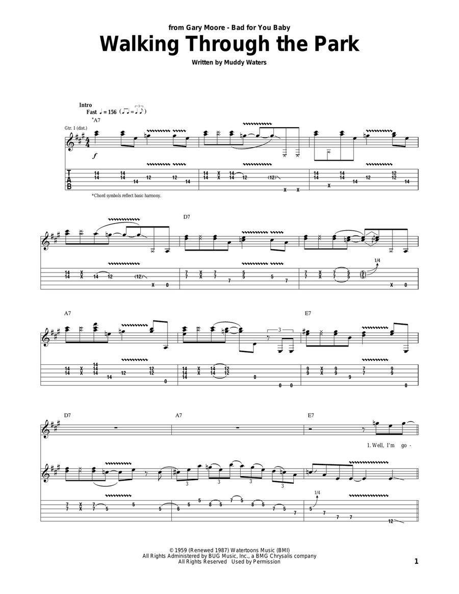 Walking Through The Park Walking Through The Park Acoustic Guitar scores gallery preview page 1