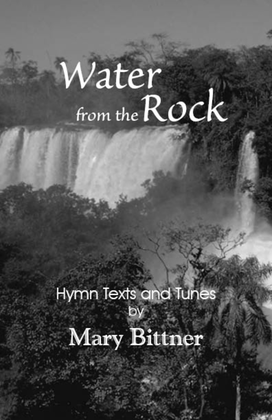Book cover for Water from the Rock