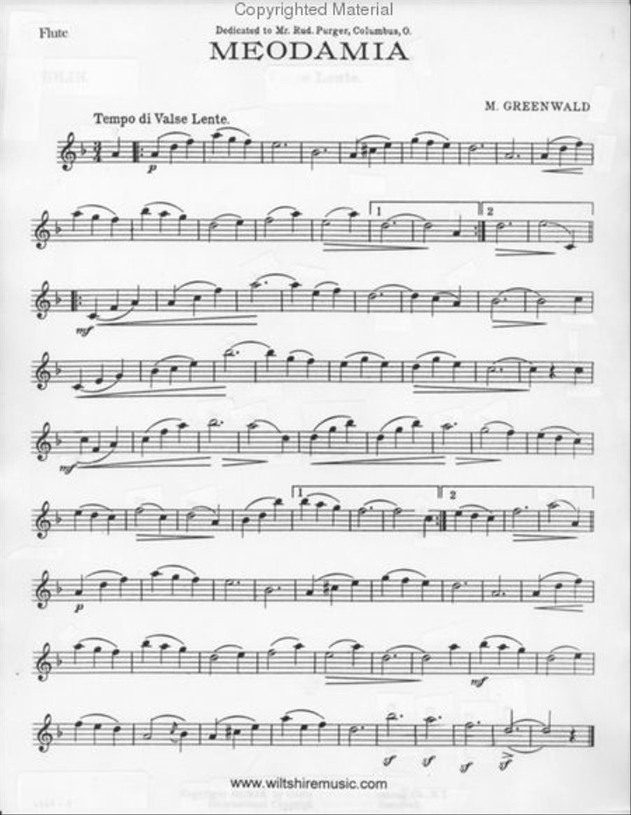 Melodamia Flute Solo scores gallery preview page 2