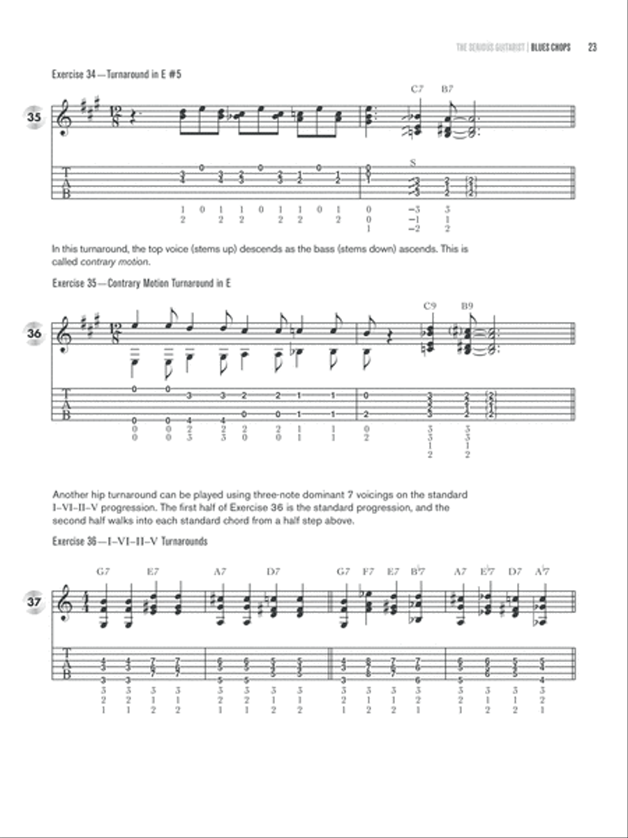 The Serious Guitarist -- Blues Chops Electric Guitar scores gallery preview page 5
