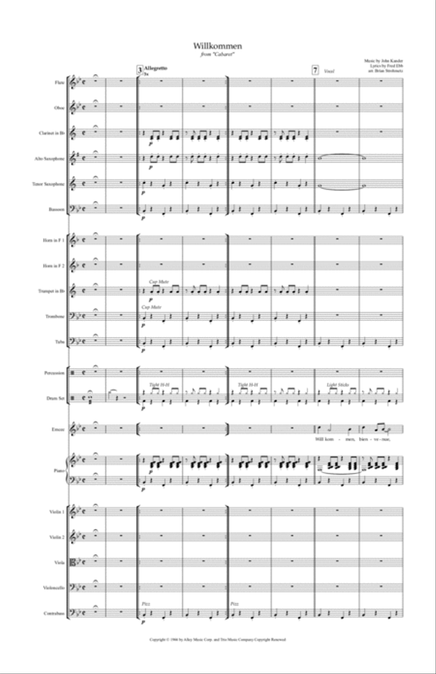 Willkommen Full Orchestra scores gallery preview page 3