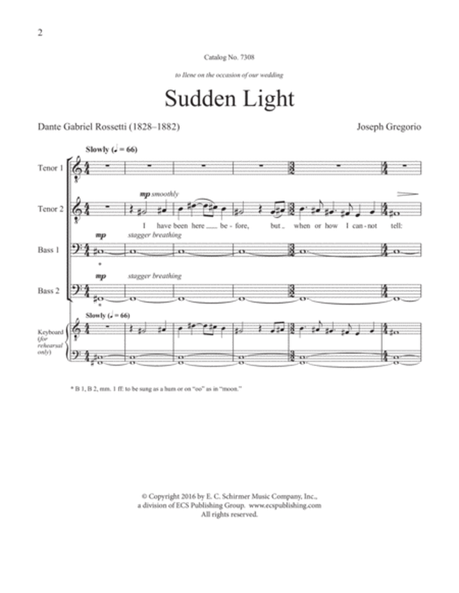 Sudden Light (Downloadable)