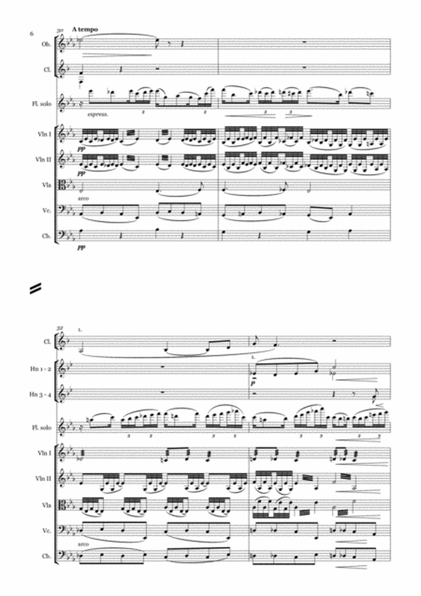 Gabriel Faure - ELEGIE op.24  for Flute & Orchestra - full score