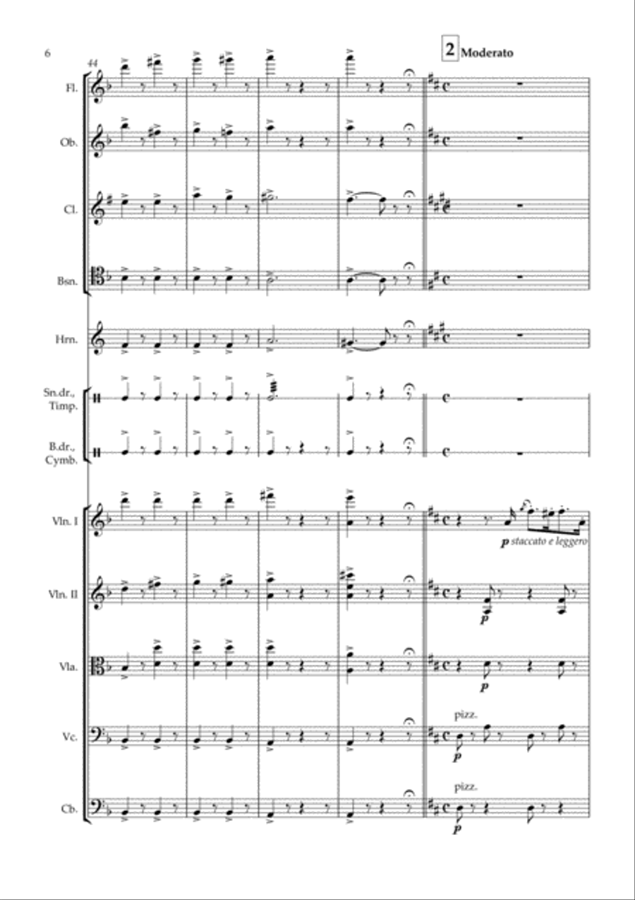 Don Pasquale - Sinfonia - arr. chamber orchestra Chamber Orchestra scores gallery preview page 6