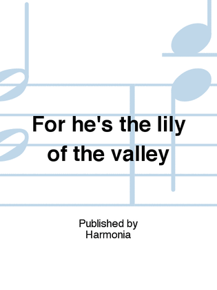 For he's the lily of the valley