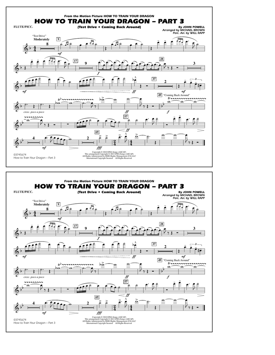 How To Train Your Dragon Part 3 - Flute/Piccolo Marching Band scores gallery preview page 1