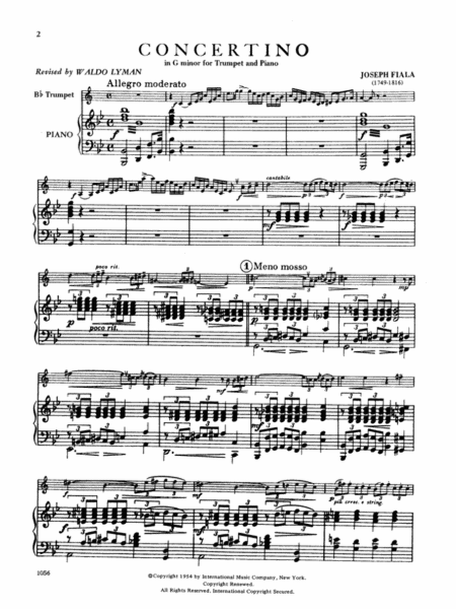 Concertino In G Minor