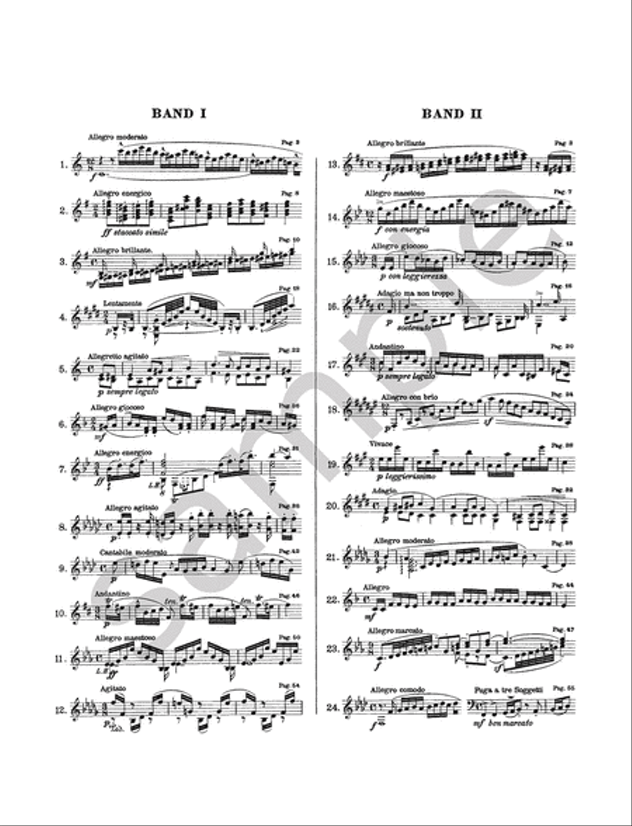 Studies Op. 70