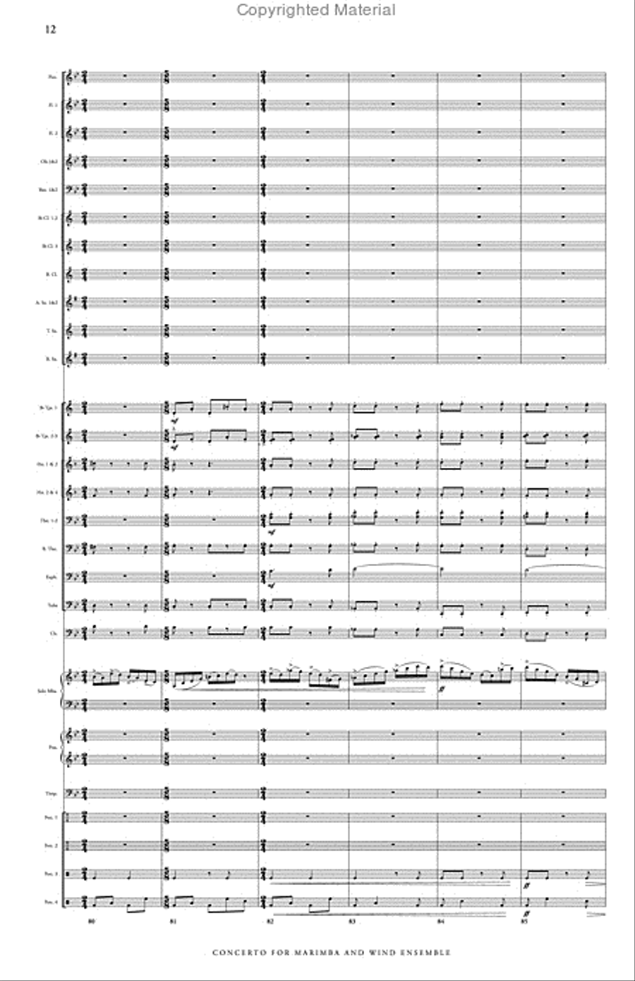 Concerto No. 2 for Marimba & Wind Ensemble Concert Band scores gallery preview page 13