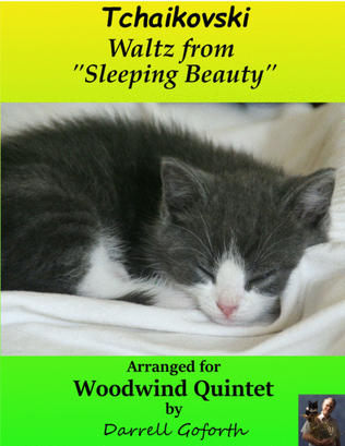 Book cover for Tchaikovsky: Waltz from "Sleeping Beauty" for Woodwind Quintet