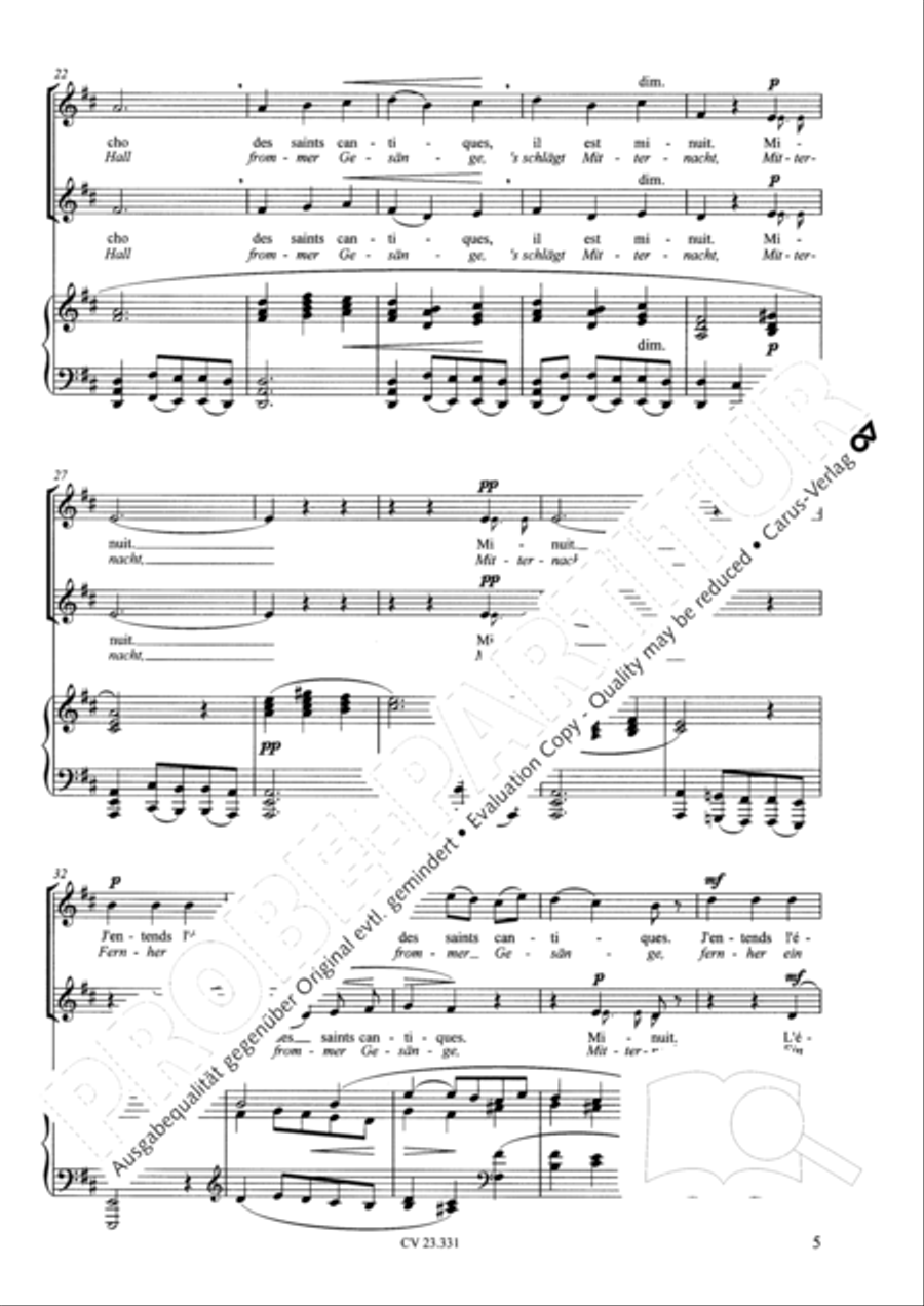 Noel (Weihnachtslied; Steigt auf zu Gott) SA scores gallery preview page 6