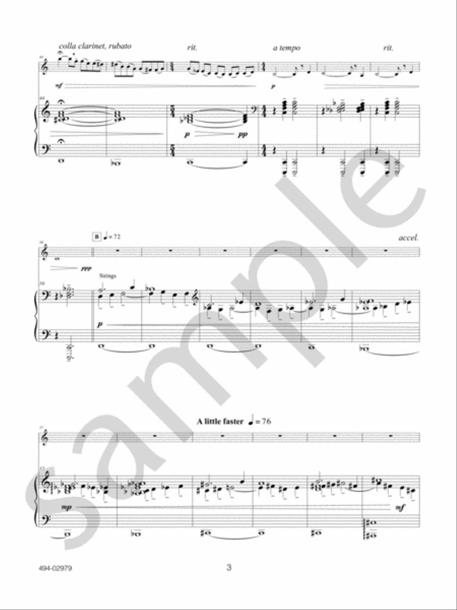 Clarinet Concerto Clarinet Concerto Orchestra scores gallery preview page 5