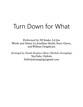 Book cover for Turn Down For What (instrumental)