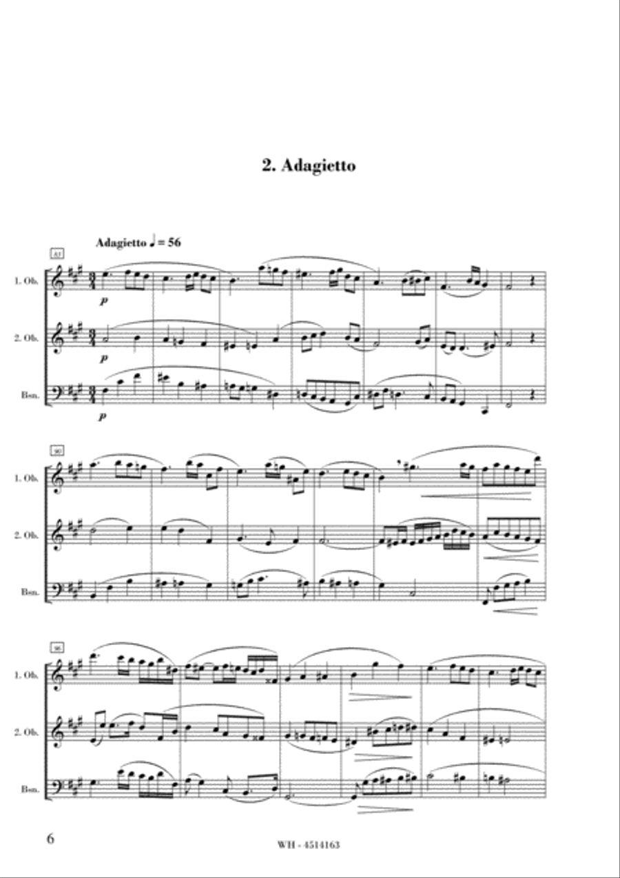DIVERTIMENTO No.2 in D, OP. 34 Woodwind Trio scores gallery preview page 6