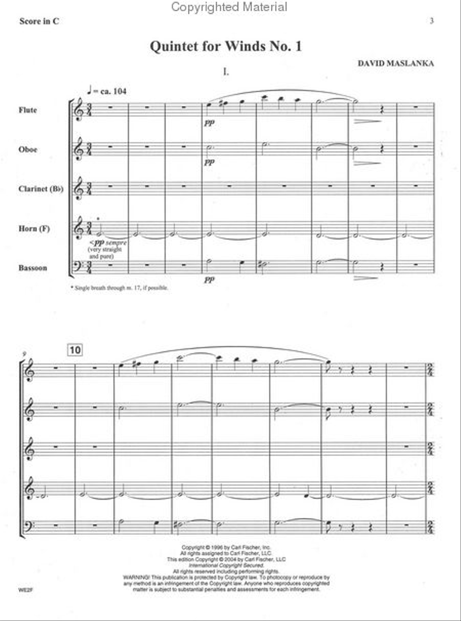 Quintet for Winds No. 1 Woodwind Quintet scores gallery preview page 2