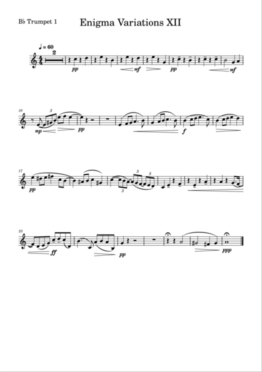 XII - B.G.N - Enigma Variations - Brass Quintet Brass Quintet scores gallery preview page 5