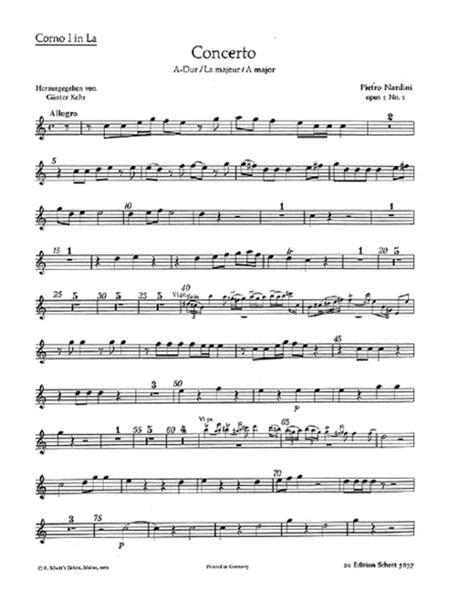 Violin Concerto Op. 1, No. 1