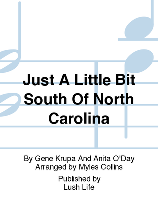 Book cover for Just A Little Bit South Of North Carolina