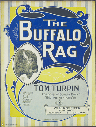 Book cover for The Buffalo Rag