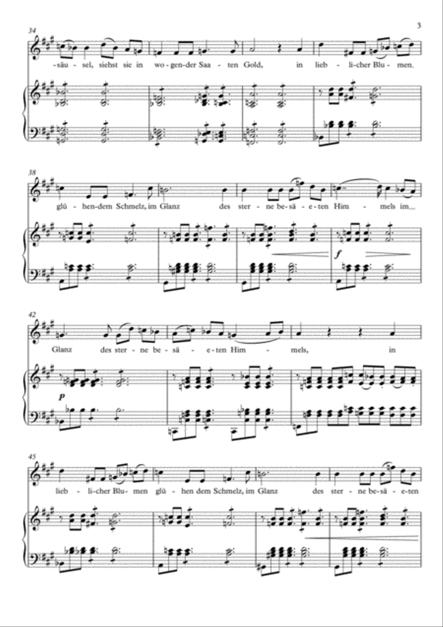 Die Allmacht (A Major) Die Allmacht (A Major) Voice scores gallery preview page 4