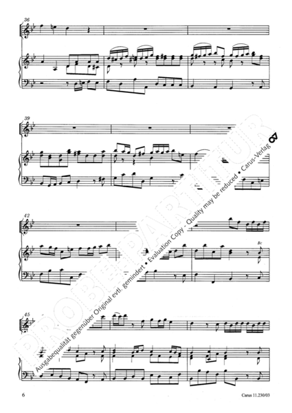Concerto in B flat major
