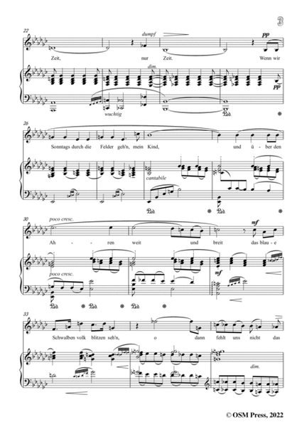 Richard Strauss-Der Arbeitsmann,in e flat minor,Op.39 No.3 image number null