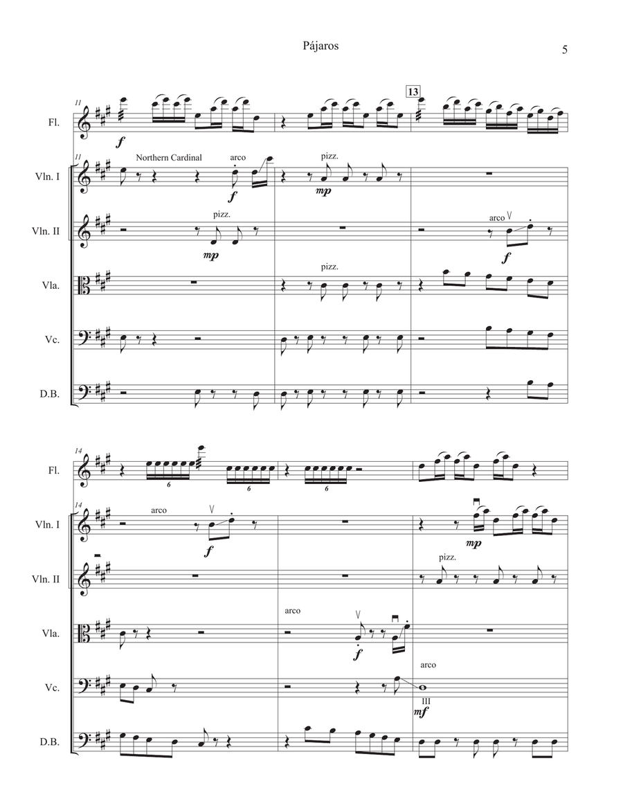 Pájaros (Birds) for solo flute and strings Chamber Orchestra scores gallery preview page 5