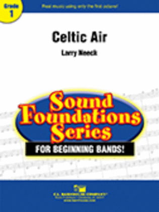 Book cover for Celtic Air