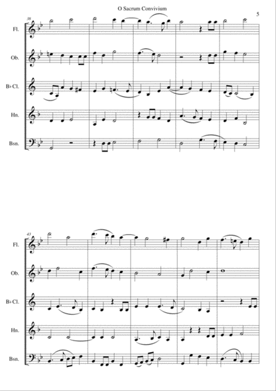 O Sacrum Convivium for wind quintet Woodwind Quintet scores gallery preview page 5