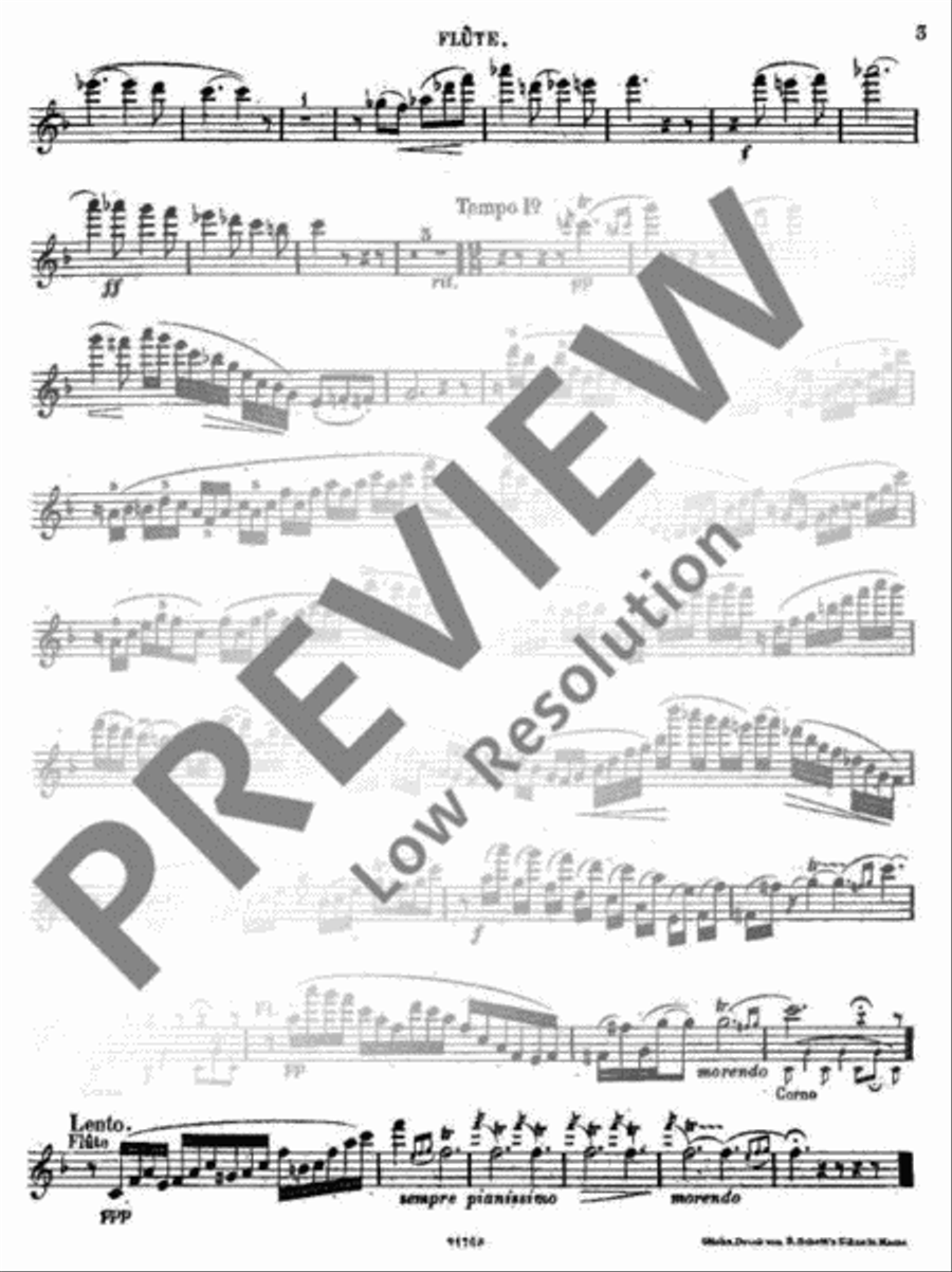 Souvenir du Rigi Flute scores gallery preview page 13