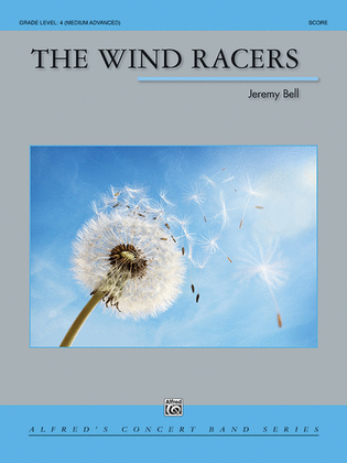 Book cover for The Wind Racers