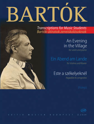 Book cover for Evening in the Village