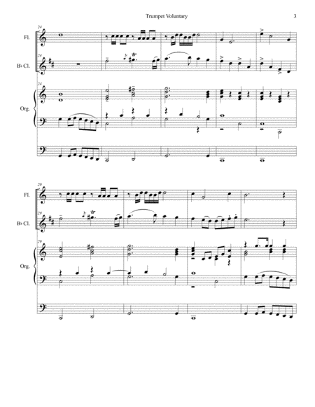 Trumpet Voluntary (Duet for Flute and Bb-Clarinet - Organ Accompaniment) image number null