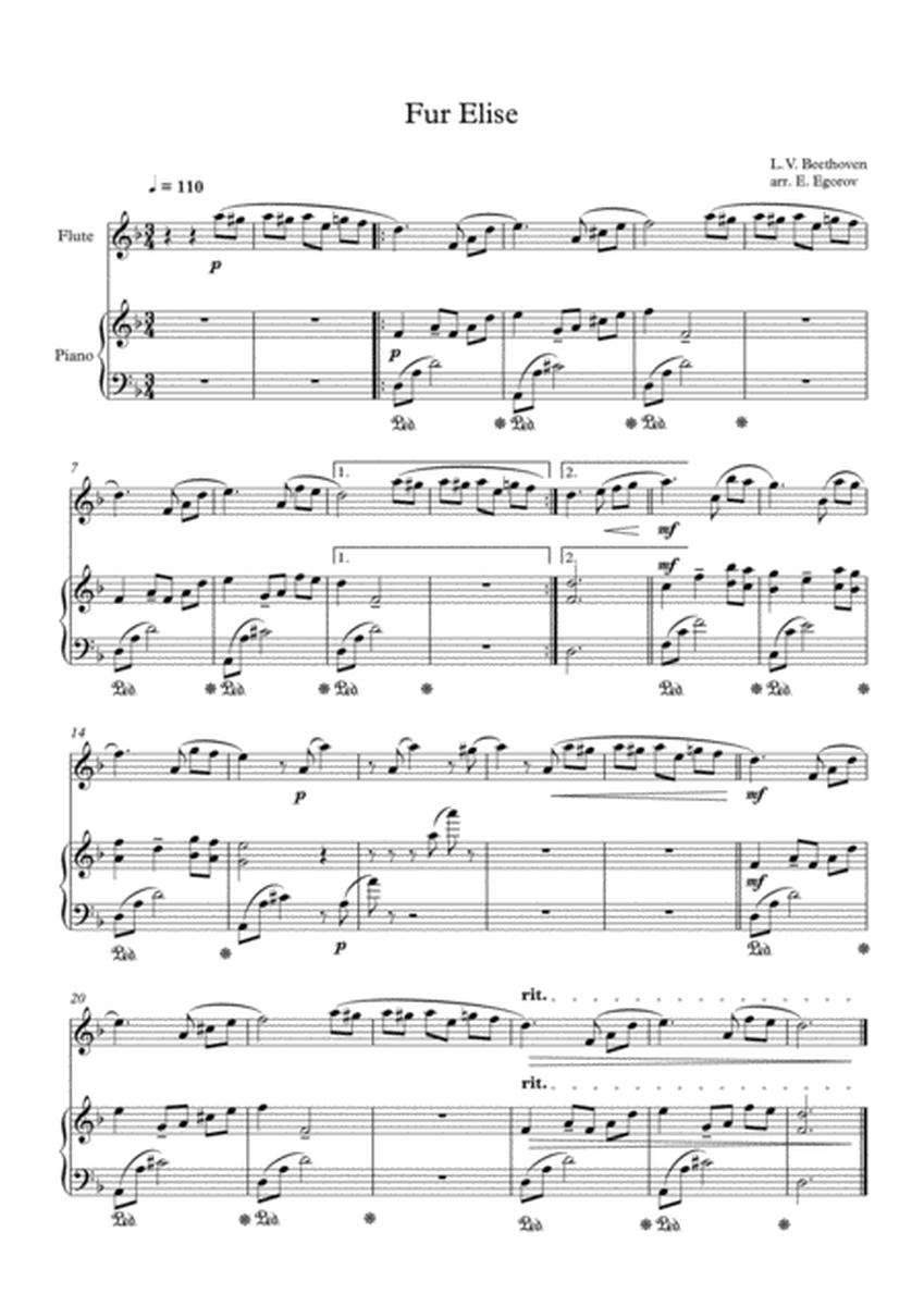 Fur Elise, Ludwig Van Beethoven, For Flute & Piano image number null