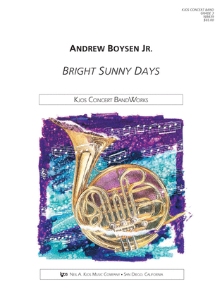 Book cover for Bright Sunny Days