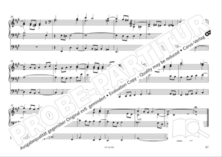 Free Organ Music from the Romantic Period, Vol. III (Freie Orgelmusik der Romantik, Band III) Organ scores gallery preview page 68