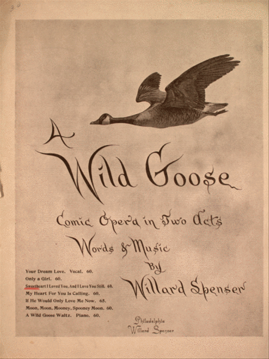Sweetheart I Loved You, And I Love You Still. Duet Voice scores gallery preview page 1