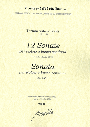 Book cover for 13 Sonate (Ms, I-MOe e A-Wn)