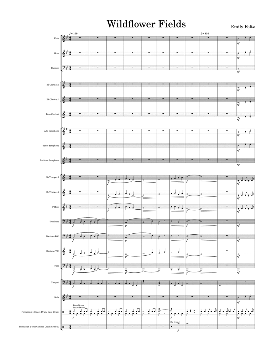 Wildflower Fields Concert Band scores gallery preview page 1