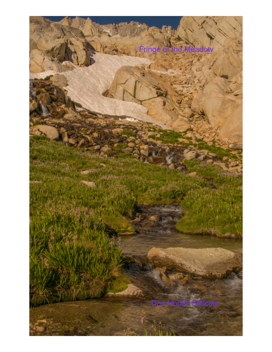 Fringe of the Meadow Piano, Vocal, Guitar scores gallery preview page 1