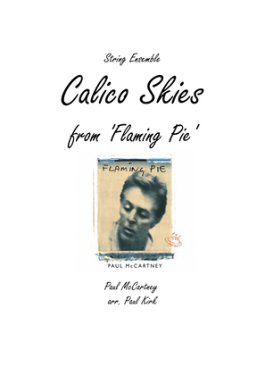 Book cover for Calico Skies