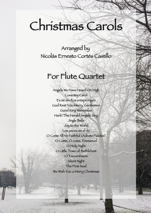 Book cover for 17 Christmas Carols for Flute quartet