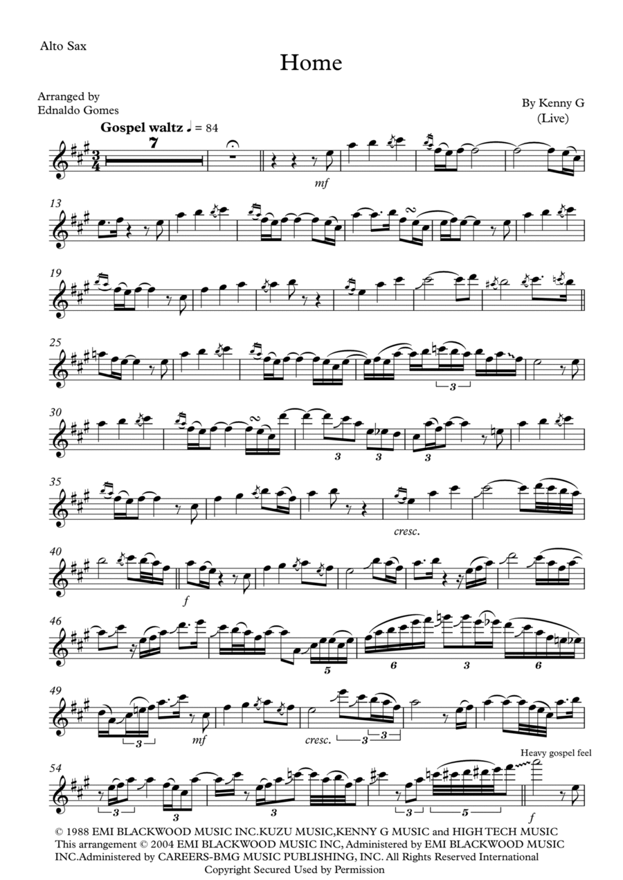 Kenny g alto sax on sale