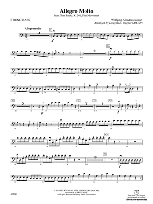 Book cover for Allegro Molto: String Bass